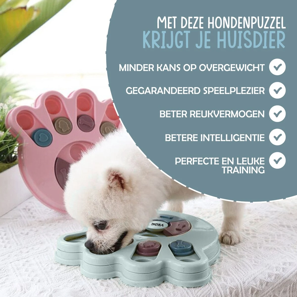 VEDIC® - Hondenpuzzel Hondenpoot Blauw - Intelligentiespeelgoed - Verschuifbare Verstopplekken - 23x23cm 2 VEDIC® - Hondenpuzzel Hondenpoot Blauw - Intelligentiespeelgoed - Verschuifbare Verstopplekken - 23x23cm - Afbeelding 2