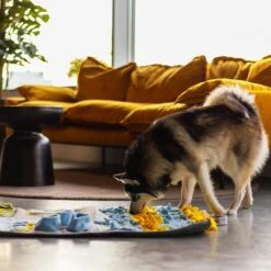 Snuffies Snuffelmat Jara 100x65cm - Snuffelmat – Snuffelmatten - Honden Speelgoed - Honden Speelgoed Intelligentie – Snuffelmat - Snuffelmat Hond - Snuffelmatten – Hersenwerk – Honden Speeltjes – Puppy - Puppy Speelgoed - Honden Denkspelletjes 13 Snuffies Snuffelmat Jara 100x65cm - Snuffelmat – Snuffelmatten - Honden Speelgoed - Honden Speelgoed Intelligentie – Snuffelmat - Snuffelmat Hond - Snuffelmatten – Hersenwerk – Honden Speeltjes – Puppy - Puppy Speelgoed - Honden Denkspelletjes -Hondenbenodigdheden Korting 1200x1200 2081