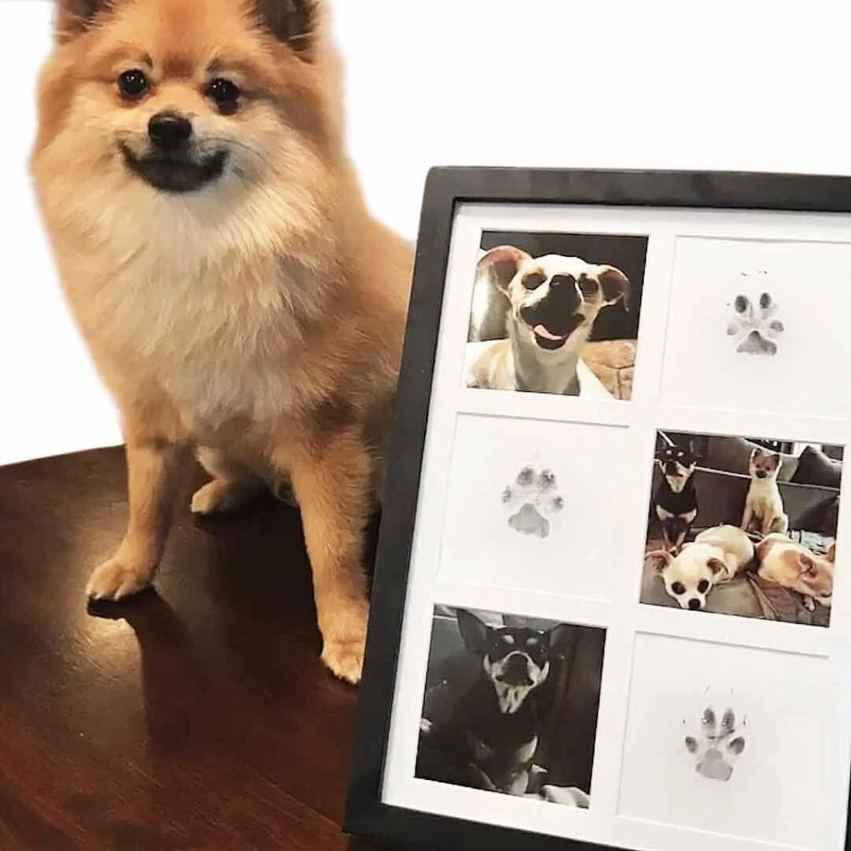 Merkloos Paw Print Pad - Pootafdruk Maken Van Hond Of Kat 3 Merkloos Paw Print Pad - Pootafdruk Maken Van Hond Of Kat - Afbeelding 3