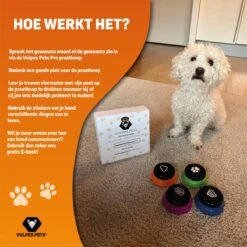 Vulpes Pets® PRO Praatknop Voor Honden Met Speelmat - Dogbuttons - Laat Uw Huisdier Spreken - Hondenspeelgoed - Honden Training - Inclusief E-Book En Speelmat -Hondenbenodigdheden Korting 1200x1200 2104