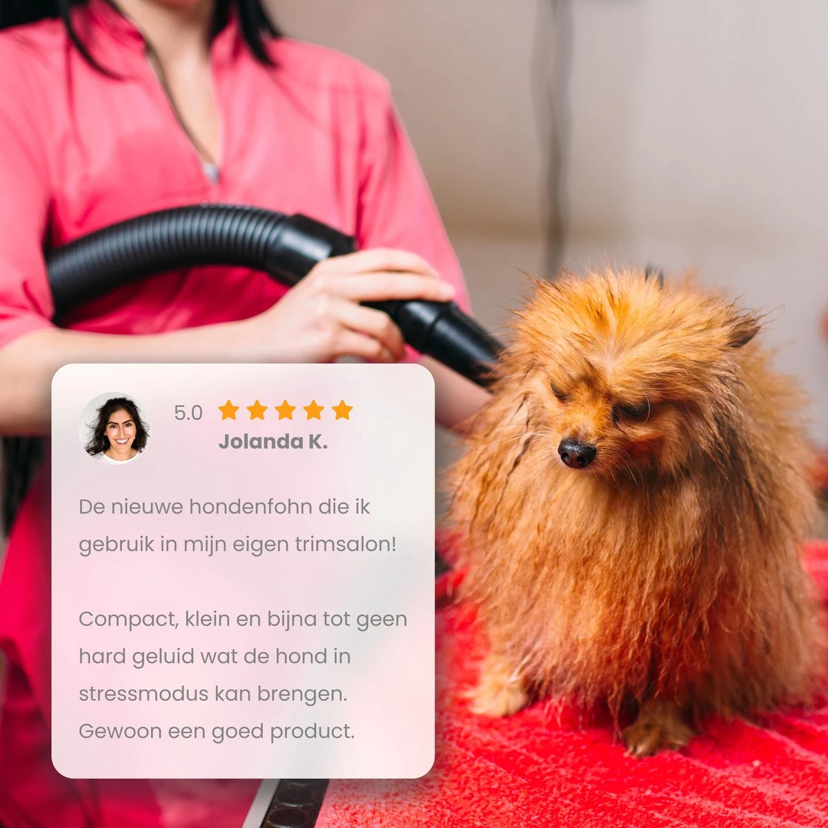 Qumax Professionele Hondenföhn Met 4 Opzetstukken – Waterblazer Voor Honden – Stil Design – Compact En Modern - Zwart 7 Qumax Professionele Hondenföhn Met 4 Opzetstukken – Waterblazer Voor Honden – Stil Design – Compact En Modern - Zwart - Afbeelding 7