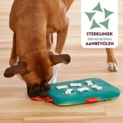 Nina Ottosson Dog Casino - Turquoise/Oranje - 31,5 X 26 X 4,5 Cm -Hondenbenodigdheden Korting 1200x1200 2111