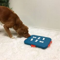 Nina Ottosson Dog Casino - Turquoise/Oranje - 31,5 X 26 X 4,5 Cm -Hondenbenodigdheden Korting 1200x1200 2113