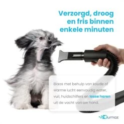 Qumax Professionele Hondenföhn Met 4 Opzetstukken – Waterblazer Voor Honden – Stil Design – Compact En Modern - Zwart 16 Qumax Professionele Hondenföhn Met 4 Opzetstukken – Waterblazer Voor Honden – Stil Design – Compact En Modern - Zwart -Hondenbenodigdheden Korting 1200x1200 212