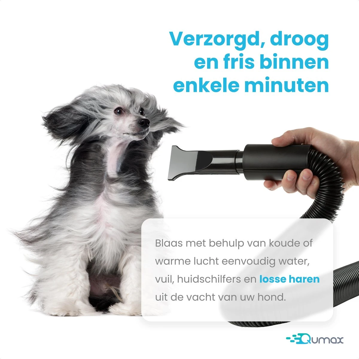 Qumax Professionele Hondenföhn Met 4 Opzetstukken – Waterblazer Voor Honden – Stil Design – Compact En Modern - Zwart 8 Qumax Professionele Hondenföhn Met 4 Opzetstukken – Waterblazer Voor Honden – Stil Design – Compact En Modern - Zwart - Afbeelding 8