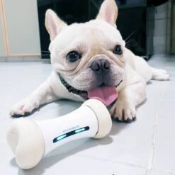 Cheerble Wickedbone|Automatisch Hondenspeeltje|Interactief En Intelligent Speelgoed Voor Honden|App & Bluetooth Bestuurbaar|USB Oplaadbaar 19 Cheerble Wickedbone|Automatisch Hondenspeeltje|Interactief En Intelligent Speelgoed Voor Honden|App & Bluetooth Bestuurbaar|USB Oplaadbaar -Hondenbenodigdheden Korting 1200x1200 2125