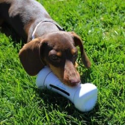 Cheerble Wickedbone|Automatisch Hondenspeeltje|Interactief En Intelligent Speelgoed Voor Honden|App & Bluetooth Bestuurbaar|USB Oplaadbaar 22 Cheerble Wickedbone|Automatisch Hondenspeeltje|Interactief En Intelligent Speelgoed Voor Honden|App & Bluetooth Bestuurbaar|USB Oplaadbaar -Hondenbenodigdheden Korting 1200x1200 2127