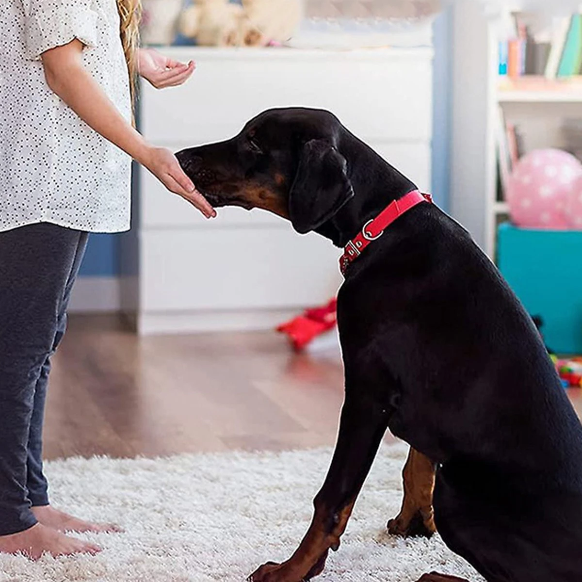 Merkloos Dog Buttons Praatknop Voor Honden - Met Opname Functie - Met Stickers - Intelligentie Speelgoed - 4 Stuks 5 Merkloos Dog Buttons Praatknop Voor Honden - Met Opname Functie - Met Stickers - Intelligentie Speelgoed - 4 Stuks - Afbeelding 5