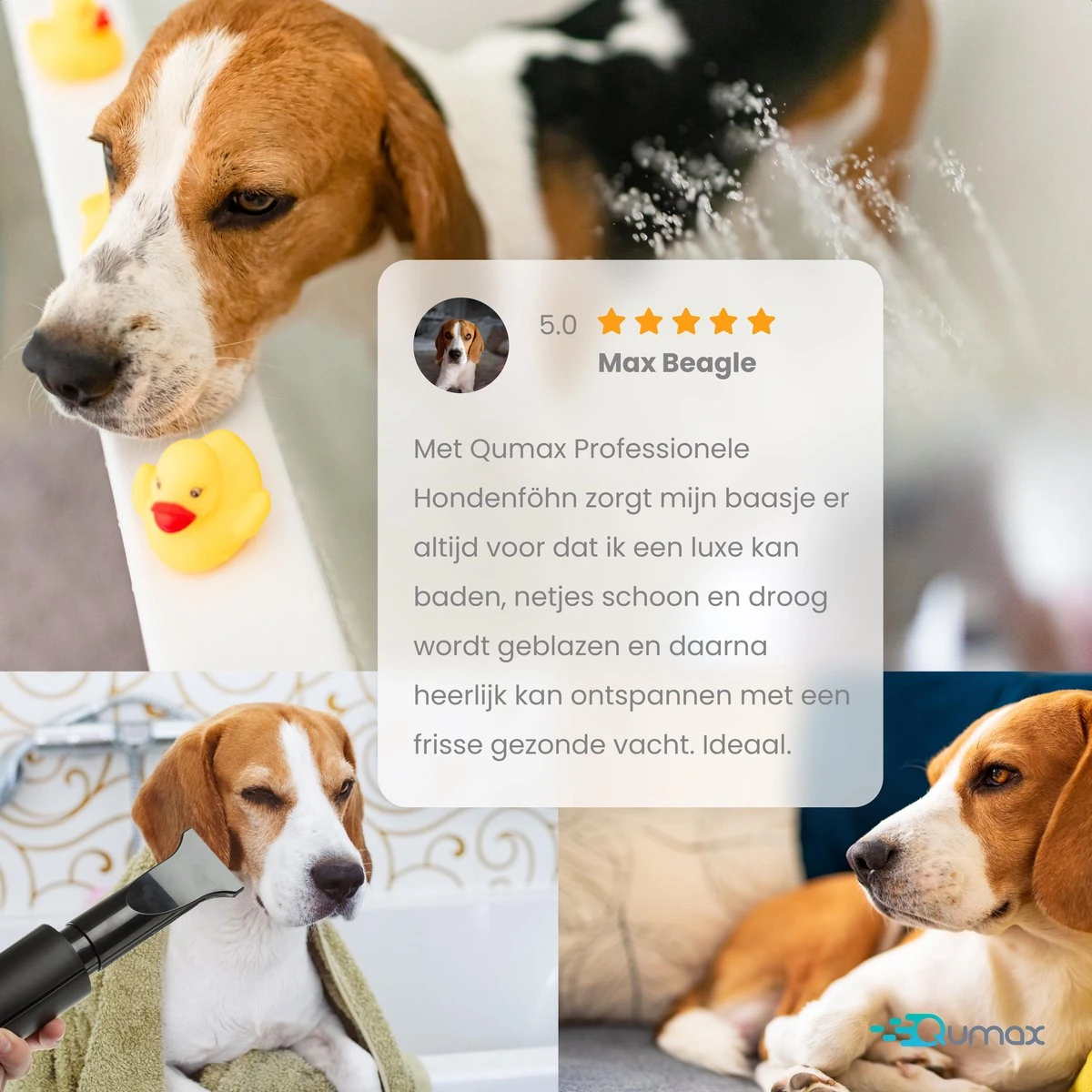 Qumax Professionele Hondenföhn Met 4 Opzetstukken – Waterblazer Voor Honden – Stil Design – Compact En Modern - Zwart 9 Qumax Professionele Hondenföhn Met 4 Opzetstukken – Waterblazer Voor Honden – Stil Design – Compact En Modern - Zwart - Afbeelding 9