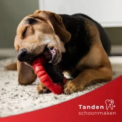 Kauwbot Stuurwiel 2.0 Extra Sterk Melk Geur Smaak En Piep Honden Speelgoed - Kauwspeelgoed Bot Hond - Dutchwide -Hondenbenodigdheden Korting 1200x1200 2134