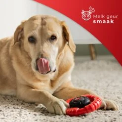 Kauwbot Stuurwiel 2.0 Extra Sterk Melk Geur Smaak En Piep Honden Speelgoed - Kauwspeelgoed Bot Hond - Dutchwide -Hondenbenodigdheden Korting 1200x1200 2135
