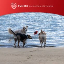 Kauwbot Stuurwiel 2.0 Extra Sterk Melk Geur Smaak En Piep Honden Speelgoed - Kauwspeelgoed Bot Hond - Dutchwide -Hondenbenodigdheden Korting 1200x1200 2136