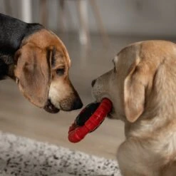 Kauwbot Stuurwiel 2.0 Extra Sterk Melk Geur Smaak En Piep Honden Speelgoed - Kauwspeelgoed Bot Hond - Dutchwide -Hondenbenodigdheden Korting 1200x1200 2137