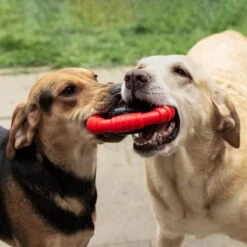 Kauwbot Stuurwiel 2.0 Extra Sterk Melk Geur Smaak En Piep Honden Speelgoed - Kauwspeelgoed Bot Hond - Dutchwide -Hondenbenodigdheden Korting 1200x1200 2138