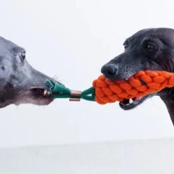 NufNuf - Hondenspeelgoed - Wortel - Stevig En Duurzaam Designspeelgoed -Hondenbenodigdheden Korting 1200x1200 2142