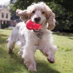 Kong Kauwbot - Hondenspeelgoed - Rood - L -Hondenbenodigdheden Korting 1200x1200 2145