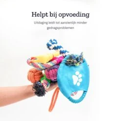 All 4 Pets Supply® Honden Speelgoed Set Geschikt Voor Puppy's T/m Middelgrote Honden - 12 Stuks - Hondenspeeltjes - Intelligentie - Touw - Flostouw - Bijtring - Bal -Hondenbenodigdheden Korting 1200x1200 2161