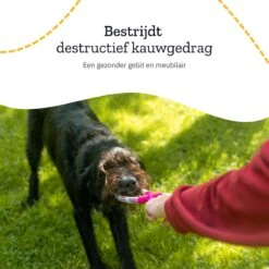 All 4 Pets Supply® Honden Speelgoed Set Geschikt Voor Puppy's T/m Middelgrote Honden - 12 Stuks - Hondenspeeltjes - Intelligentie - Touw - Flostouw - Bijtring - Bal -Hondenbenodigdheden Korting 1200x1200 2163