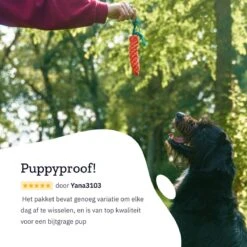 All 4 Pets Supply® Honden Speelgoed Set Geschikt Voor Puppy's T/m Middelgrote Honden - 12 Stuks - Hondenspeeltjes - Intelligentie - Touw - Flostouw - Bijtring - Bal -Hondenbenodigdheden Korting 1200x1200 2164