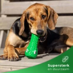 Tandenborstel Hond Melk Geur Smaak En Piep Honden Speelgoed Dog Toy - Krokodil Groen - Dutchwide 12 Tandenborstel Hond Melk Geur Smaak En Piep Honden Speelgoed Dog Toy - Krokodil Groen - Dutchwide -Hondenbenodigdheden Korting 1200x1200 2169