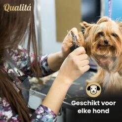 Merkloos Professionele Honden Tondeuse Set - Tondeuse Voor Huisdier Honden En Katten - Hondentrimmer - Hondentondeuse 12 Merkloos Professionele Honden Tondeuse Set - Tondeuse Voor Huisdier Honden En Katten - Hondentrimmer - Hondentondeuse -Hondenbenodigdheden Korting 1200x1200 217