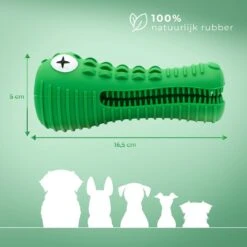 Tandenborstel Hond Melk Geur Smaak En Piep Honden Speelgoed Dog Toy - Krokodil Groen - Dutchwide 15 Tandenborstel Hond Melk Geur Smaak En Piep Honden Speelgoed Dog Toy - Krokodil Groen - Dutchwide -Hondenbenodigdheden Korting 1200x1200 2172