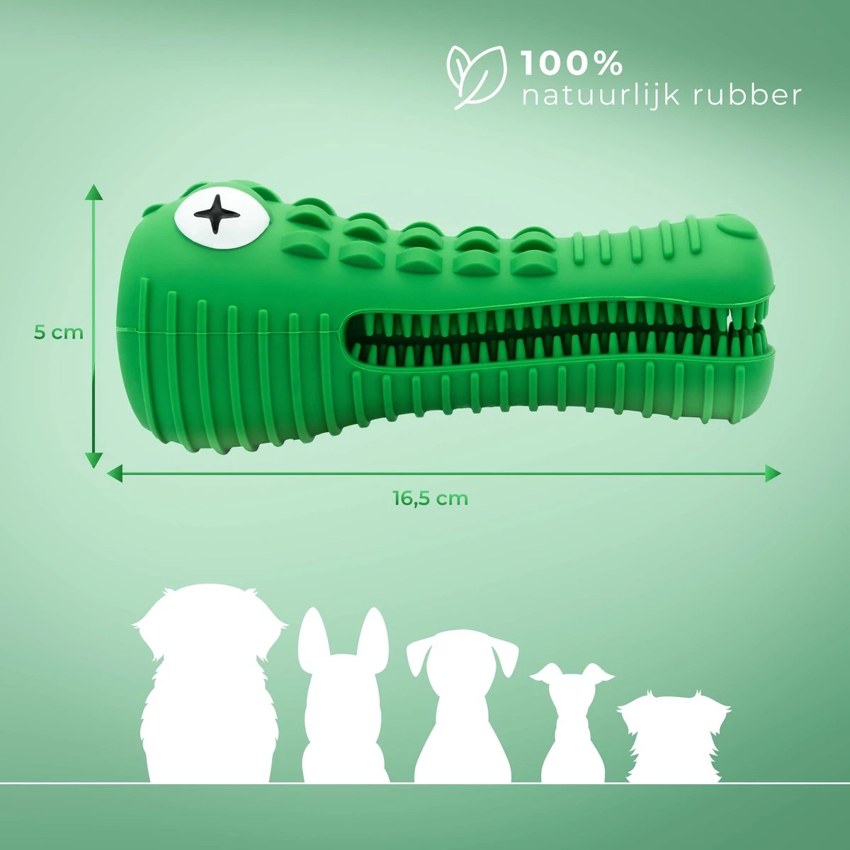 Tandenborstel Hond Melk Geur Smaak En Piep Honden Speelgoed Dog Toy - Krokodil Groen - Dutchwide 6 Tandenborstel Hond Melk Geur Smaak En Piep Honden Speelgoed Dog Toy - Krokodil Groen - Dutchwide - Afbeelding 6