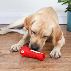 Tandenborstel Hond Melk Geur Smaak En Piep Honden Speelgoed Dog Toy - Krokodil Groen - Dutchwide 19 Tandenborstel Hond Melk Geur Smaak En Piep Honden Speelgoed Dog Toy - Krokodil Groen - Dutchwide -Hondenbenodigdheden Korting 1200x1200 2173