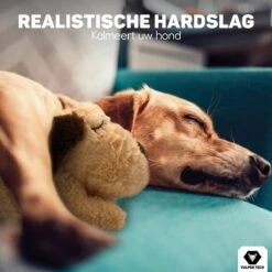 Vulpes Pets® Knuffel Hond Met Hartslag – Puppyknuffel - Hondenknuffel Voor Puppy - Snuggle Puppy - Knuffel Met Hartslag En Gratis Warmte Pad Speciaal Voor Puppy's -Hondenbenodigdheden Korting 1200x1200 2186