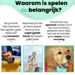 Petloverz – Honden Speelgoed Set – Honden Speeltjes – Knuffel - Speelgoed – Intelligentie – 15 Speeltjes -Hondenbenodigdheden Korting 1200x1200 2193