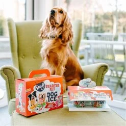 Smoofl Honden Lekkernij - Starter Kit Om Je Eigen Honden Ijs Te Maken, Kit Met 2 Ijsmixen Voor Honden, Pindakaas En Aardbei Smaak, Een Pootvormige Silicone Vorm - Voor 4 Hondenijsjes -Hondenbenodigdheden Korting 1200x1200 22