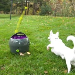 PetSafe Automatische Ballenwerper - Dierenspeelgoed -Hondenbenodigdheden Korting 1200x1200 2200
