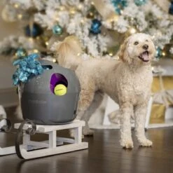 PetSafe Automatische Ballenwerper - Dierenspeelgoed -Hondenbenodigdheden Korting 1200x1200 2201