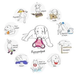 Kong Puppy Goodie Bone Small Small - 1 ST 16 Kong Puppy Goodie Bone Small Small - 1 ST -Hondenbenodigdheden Korting 1200x1200 2204