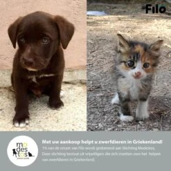 Filo Hondenknuffel Met Hartslag En Warmtebron - Hartslagknuffel Hondenspeelgoed Snuggle Puppy - Knuffel Met Hartslag - Heartbeat Knuffel Hond -Hondenbenodigdheden Korting 1200x1200 2210