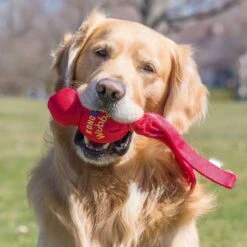 Kong Wubba - Hondenspeelgoed - Assorti - L: 36 Cm 19 Kong Wubba - Hondenspeelgoed - Assorti - L: 36 Cm -Hondenbenodigdheden Korting 1200x1200 2224