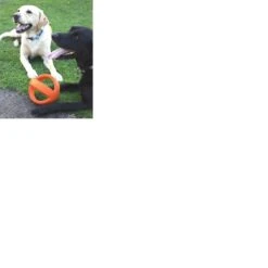 Happy Pet Grubber Interactieve Voetbal Blauw (18X18X18 CM) -Hondenbenodigdheden Korting 1200x1200 2237