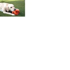 Happy Pet Grubber Interactieve Voetbal Blauw (18X18X18 CM) -Hondenbenodigdheden Korting 1200x1200 2238