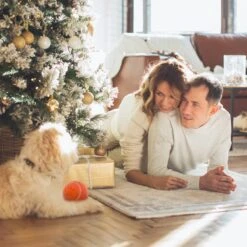 Good Experience Interactieve Hondenbal 3.0 – Honden Speelgoed Intelligentie – Puppy Speelgoed – Hondenspeeltjes – De Enige Die Werkt Met Afstandsbediening – De Veilige Bal Voor Jouw Hond – One Size – Oranje 11 Good Experience Interactieve Hondenbal 3.0 – Honden Speelgoed Intelligentie – Puppy Speelgoed – Hondenspeeltjes – De Enige Die Werkt Met Afstandsbediening – De Veilige Bal Voor Jouw Hond – One Size – Oranje -Hondenbenodigdheden Korting 1200x1200 2242