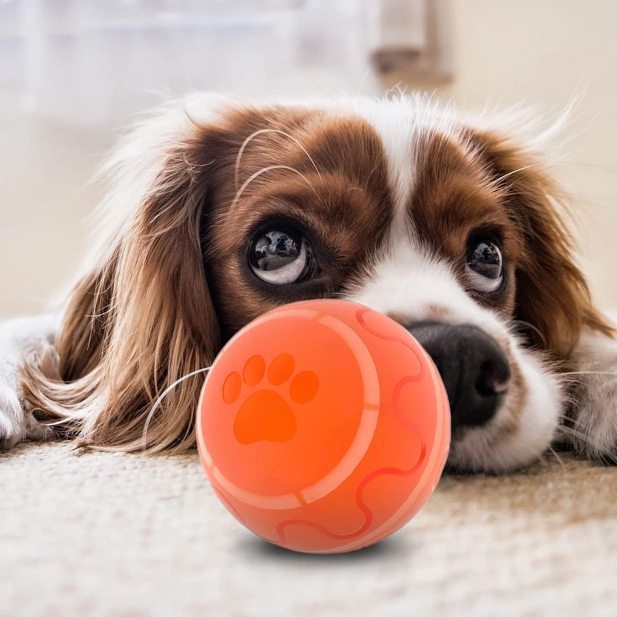 Good Experience Interactieve Hondenbal 3.0 – Honden Speelgoed Intelligentie – Puppy Speelgoed – Hondenspeeltjes – De Enige Die Werkt Met Afstandsbediening – De Veilige Bal Voor Jouw Hond – One Size – Oranje 9 Good Experience Interactieve Hondenbal 3.0 – Honden Speelgoed Intelligentie – Puppy Speelgoed – Hondenspeeltjes – De Enige Die Werkt Met Afstandsbediening – De Veilige Bal Voor Jouw Hond – One Size – Oranje - Afbeelding 9