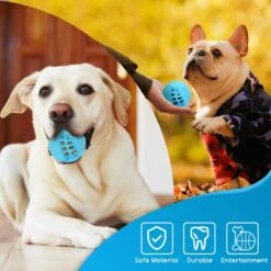 Nobleza Honden Speelgoed - Hondenspeeltjes - Hondenbal - Hondenspeelgoed - Honden Bal - Snackbal Hond - Kauwspeelgoed - Blauw - 8 Cm -Hondenbenodigdheden Korting 1200x1200 2247