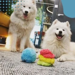 Merkloos Magic Roller Ball – Honden Speelgoed – Kattenspeeltjes - Honden Speeltjes - Kattenspeelgoed - INCLUSIEF BATTERIJ -Hondenbenodigdheden Korting 1200x1200 2251