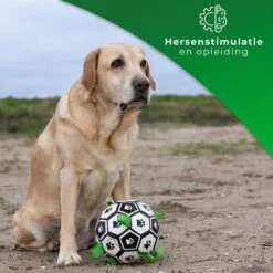 Honden Speelgoed Bal Voetbal Extra Sterk Met Handvaten Ball Hondenbal - 15 Cm - Dutchwide -Hondenbenodigdheden Korting 1200x1200 2259