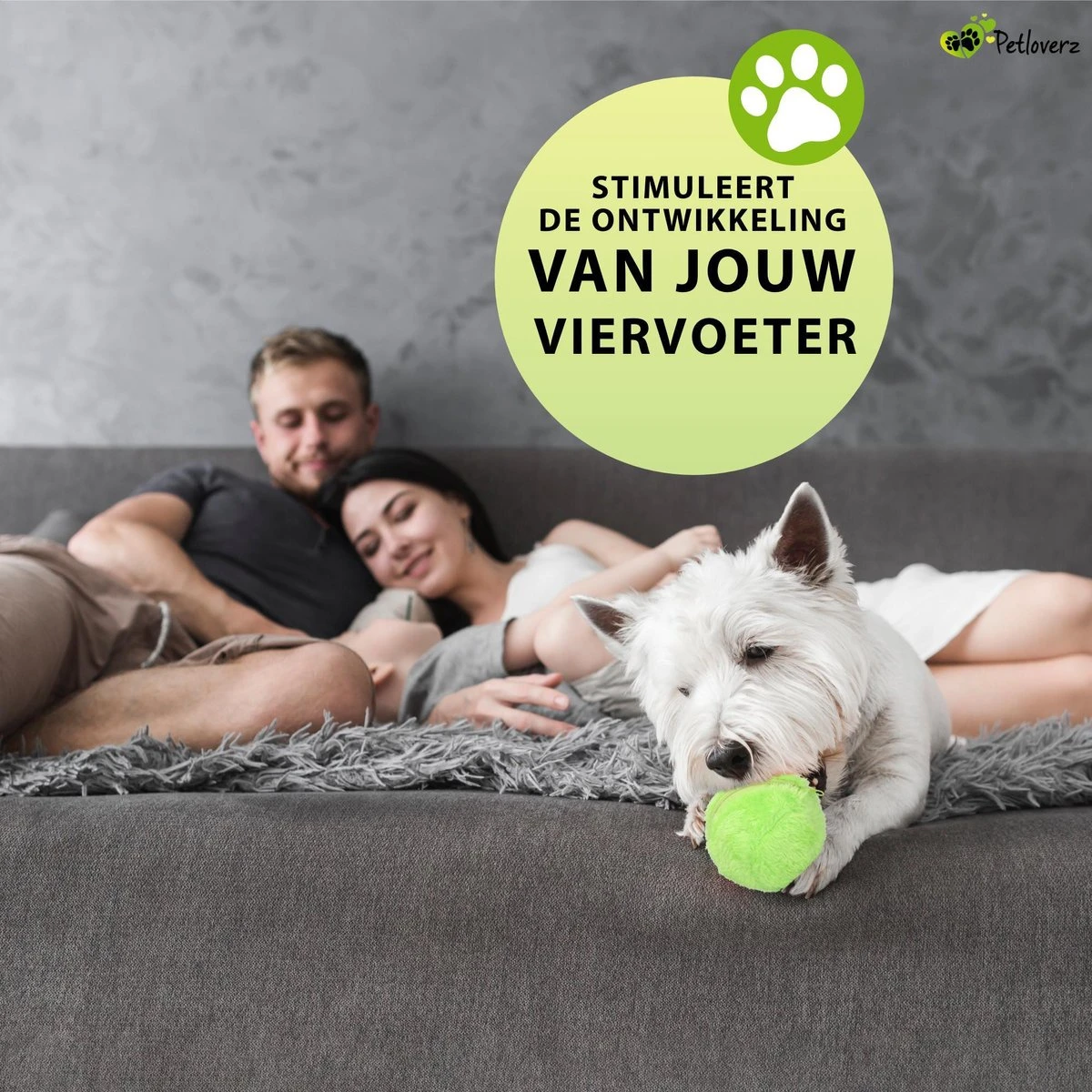 Petloverz Magic Roller Ball – Honden Speelgoed – Premium Automatische Rollende Bal 8 Petloverz Magic Roller Ball – Honden Speelgoed – Premium Automatische Rollende Bal - Afbeelding 8