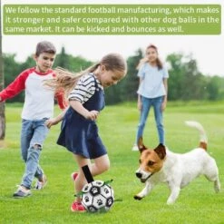 Honden Speelgoed Bal Voetbal Extra Sterk Met Handvaten Hondenbal 15cm -Hondenbenodigdheden Korting 1200x1200 2281