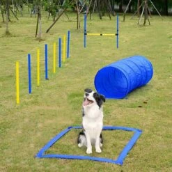 Agility Voor De Hond - 16 Delig - Agility Set - Hondentunnel - Horde - Slalom Palen - Honden Training Set - Honden Behendigheidsset - Agility Toestellen -Hondenbenodigdheden Korting 1200x1200 2292