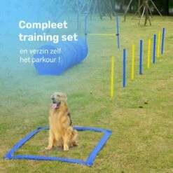 Agility Voor De Hond - 16 Delig - Agility Set - Hondentunnel - Horde - Slalom Palen - Honden Training Set - Honden Behendigheidsset - Agility Toestellen -Hondenbenodigdheden Korting 1200x1200 2294