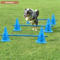 Agility Voor De Hond - Honden Training - Dog Activity - Behendigheid Hond - Parcours -Hondenbenodigdheden Korting 1200x1200 2297