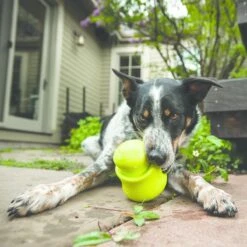 West Paw Toppl Zogoflex - Uitdagend En Sterk Speelgoed Voor Honden - Slowfeeder - Vulbaar Met Voer Of Snacks - Kleur: Groen, Maat: Large -Hondenbenodigdheden Korting 1200x1200 2299