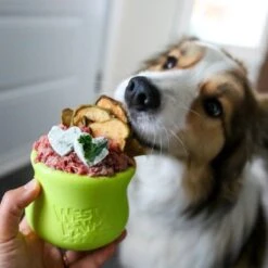 West Paw Toppl Zogoflex - Uitdagend En Sterk Speelgoed Voor Honden - Slowfeeder - Vulbaar Met Voer Of Snacks - Kleur: Groen, Maat: Large -Hondenbenodigdheden Korting 1200x1200 2300